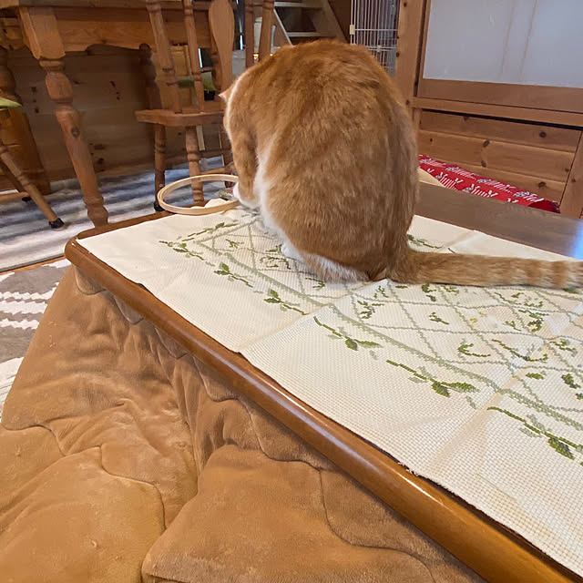 senbei.sakuramochiさんの実例写真