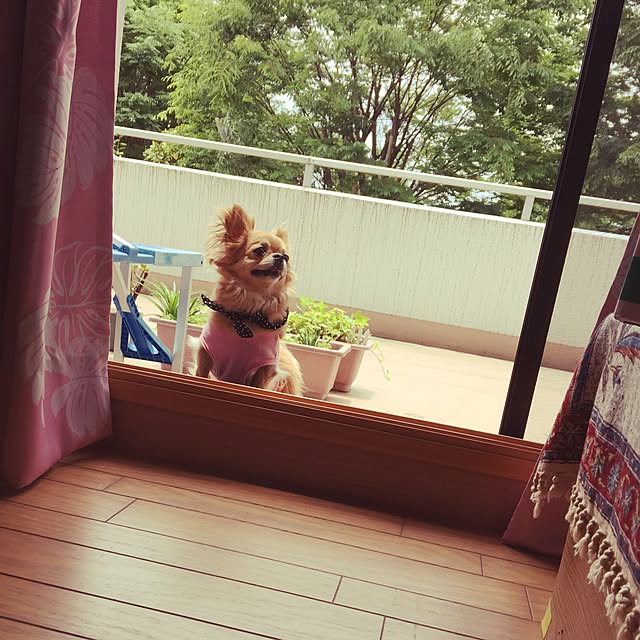 kanaeさんの実例写真