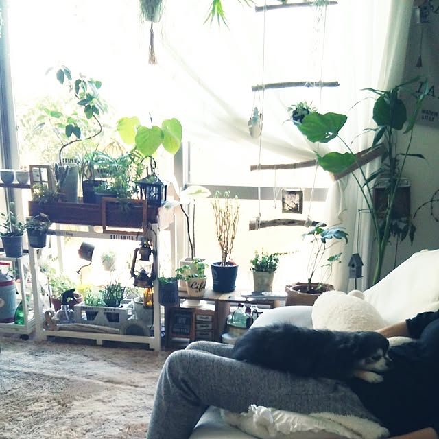 satominさんの実例写真
