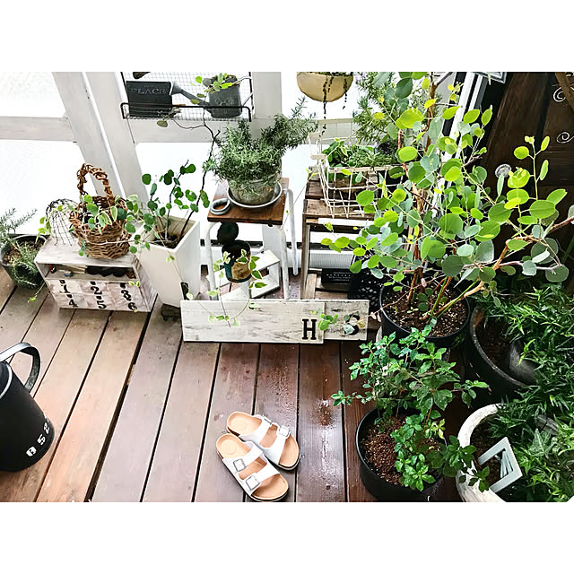 Hisayoさんの実例写真