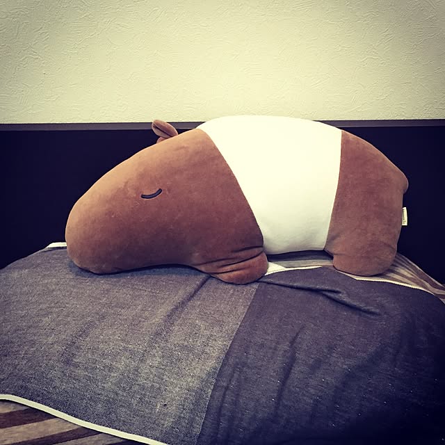 bakunoさんの実例写真