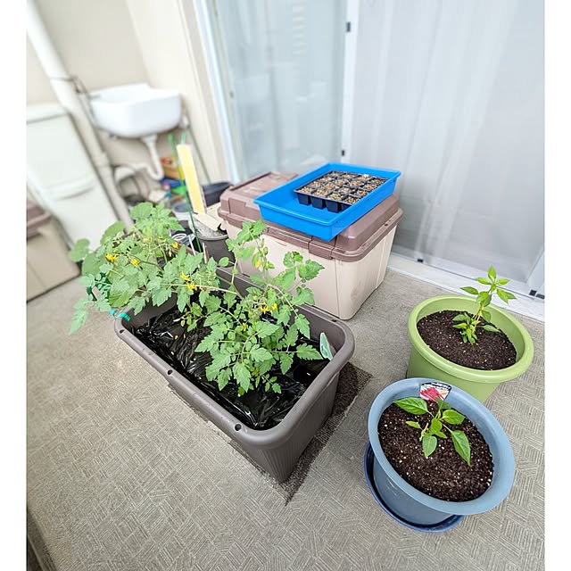 ToReTaRiさんの実例写真