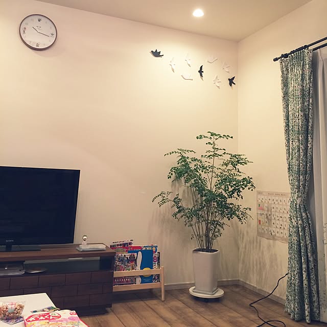 リビング/今日のお買い物/トネリコ/観葉植物/IKEA...などのインテリア実例 - 2017-03-22 22:20:43