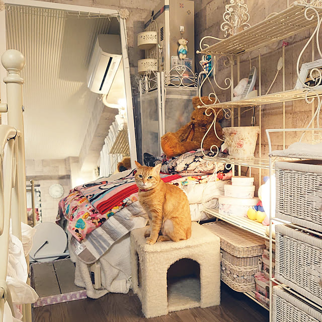 asuminさんの実例写真