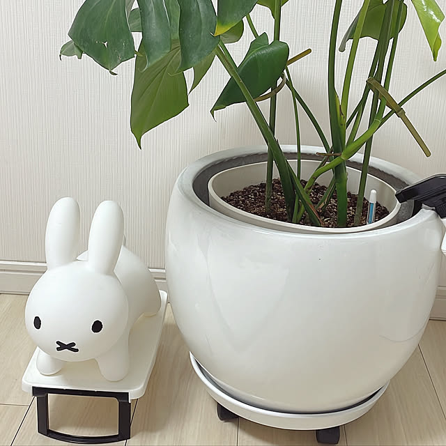 raraliさんの実例写真