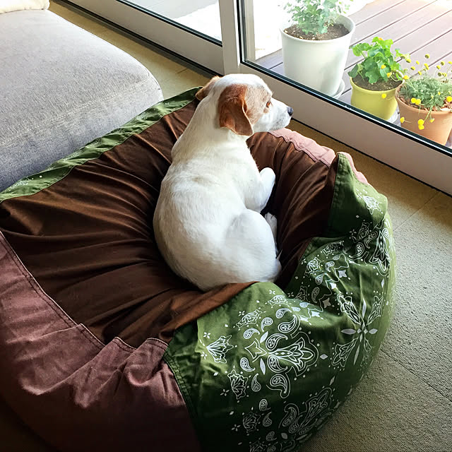 nanaさんの実例写真