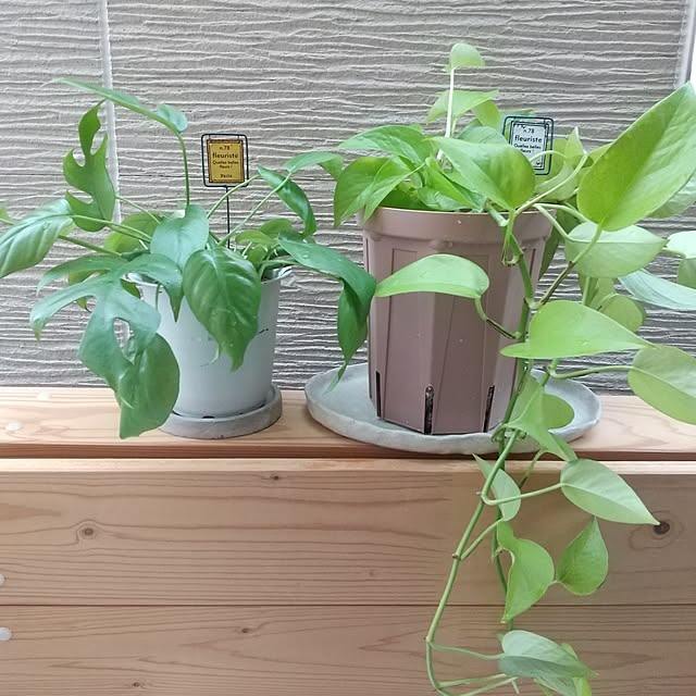 meiさんの実例写真