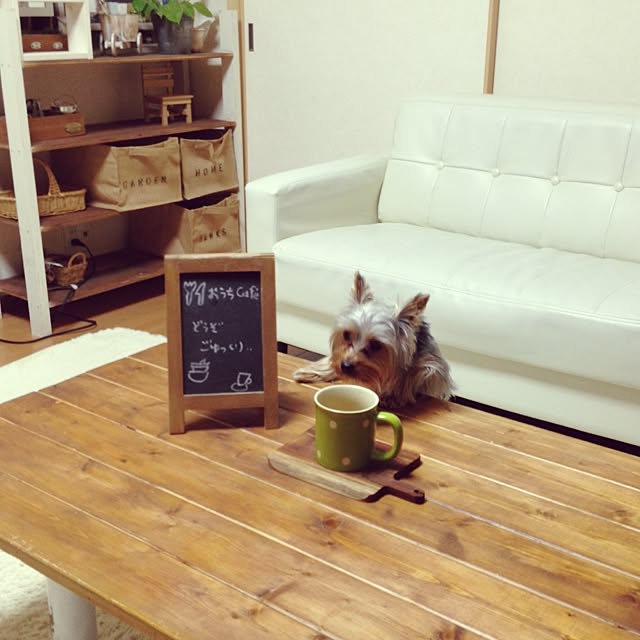 mayuoさんの実例写真