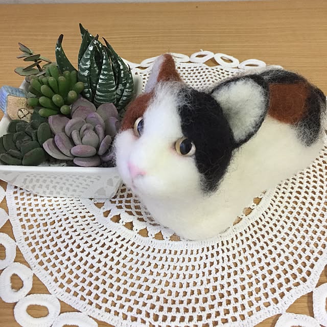 Emoさんの実例写真