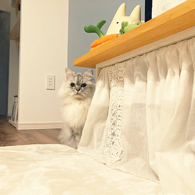 Lily0915さんの実例写真