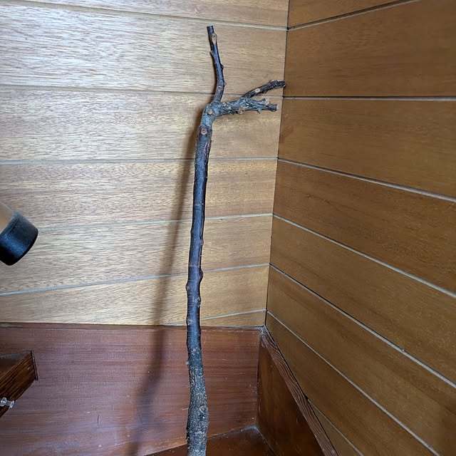 asaさんの実例写真