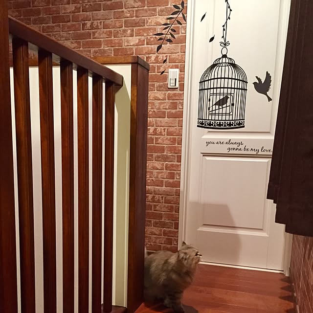butachanさんの実例写真