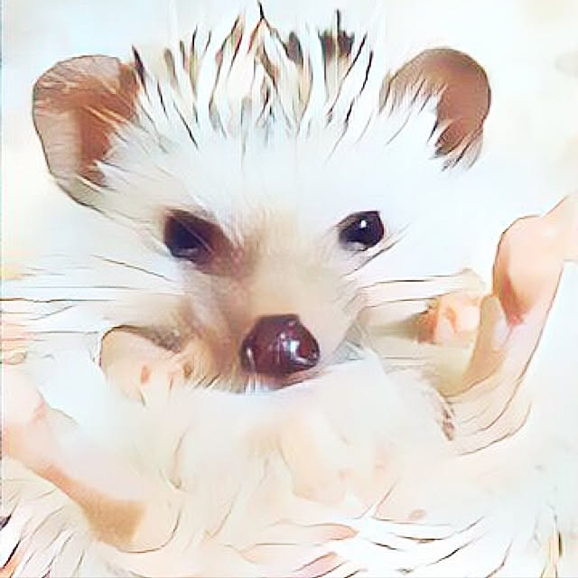 Sarionさんの実例写真