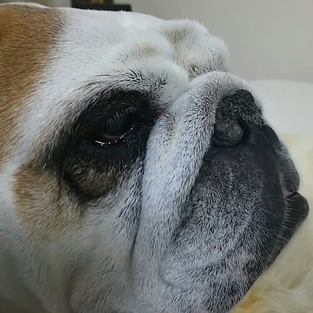 AandPさんの実例写真