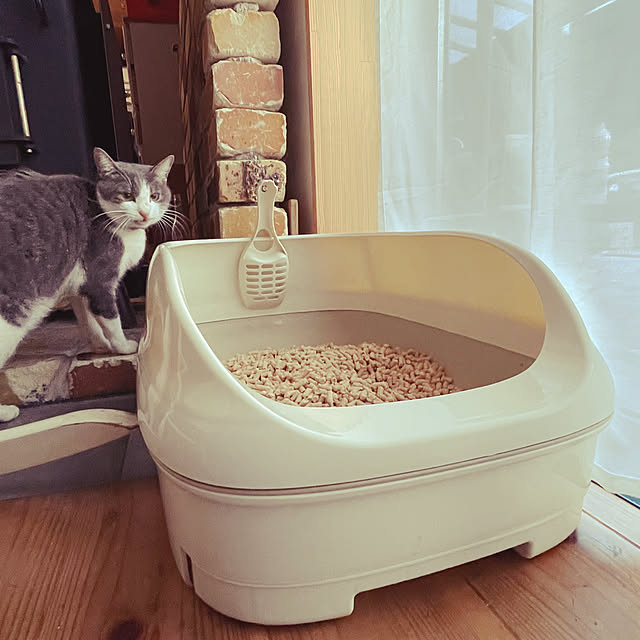 nekosamaさんの部屋
