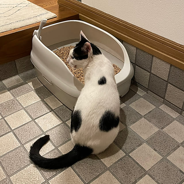 nobikoさんの部屋