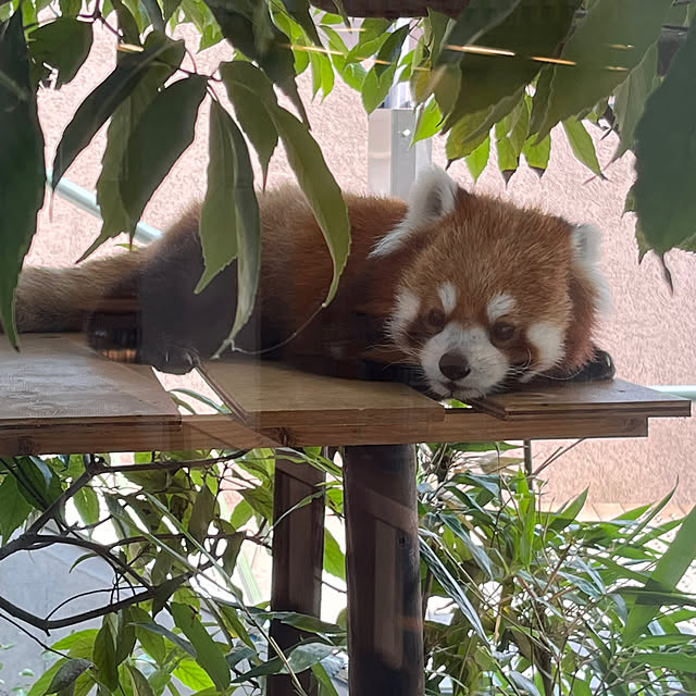 ritsukoさんの部屋