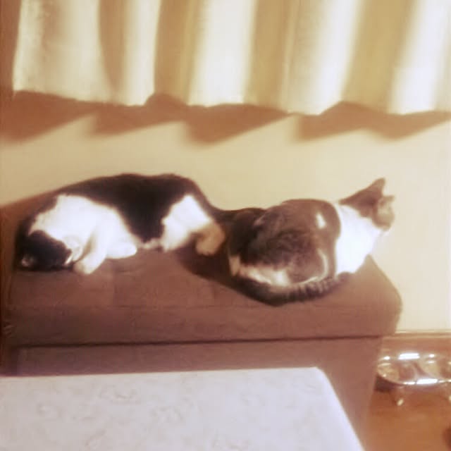 tomopさんの実例写真