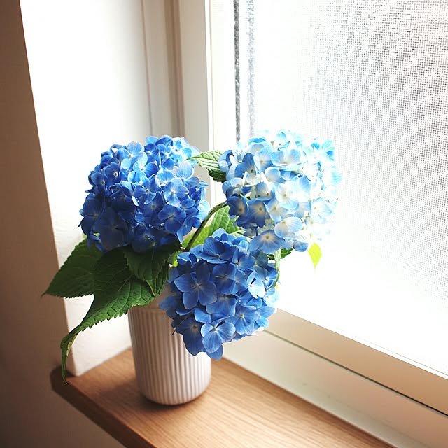 yunohaさんの実例写真