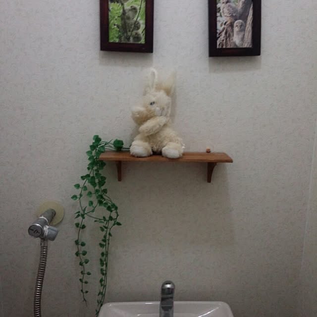 hiromiさんの実例写真