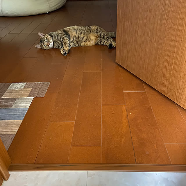 hansho.sさんの部屋