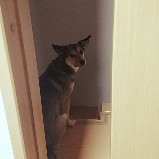 andさんの実例写真