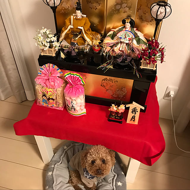 ayaさんの実例写真