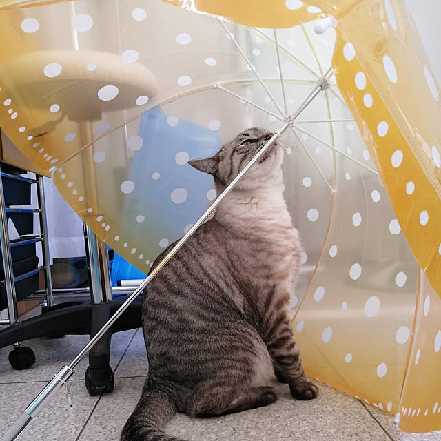 Manaさんの実例写真