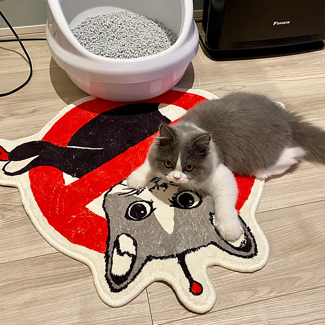 ボリス雑貨店 複製画 ネコちゃんスキ(ボリス雑貨店(ギャラリー ボリス雑貨店 複製画 ネコちゃんスキ(ボリス雑貨店(ギャラリー