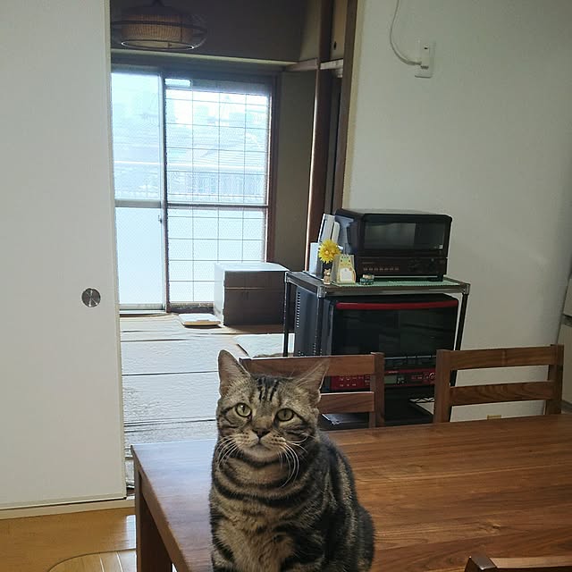 sorakoさんの実例写真
