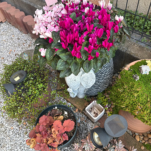 nannoさんの部屋