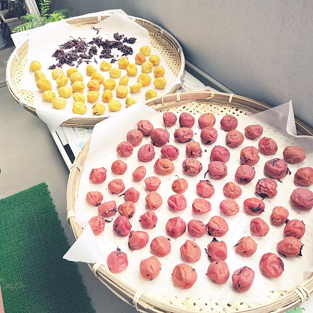 pinkoさんの実例写真
