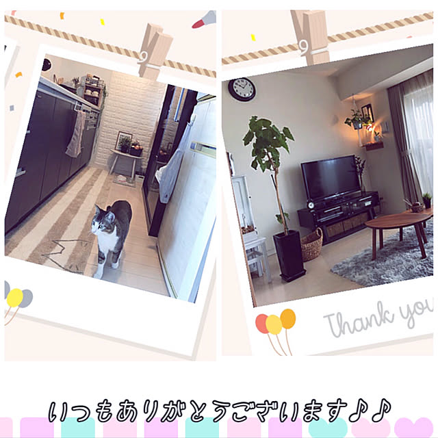 nekomiさんの実例写真