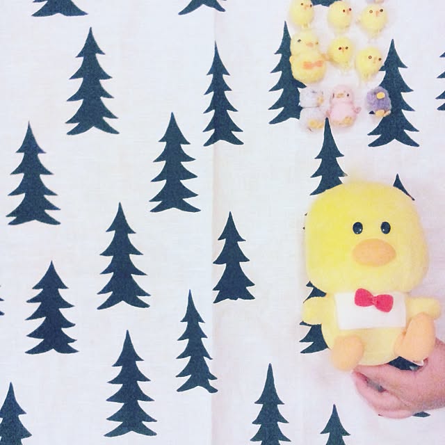 fika_naeさんの実例写真