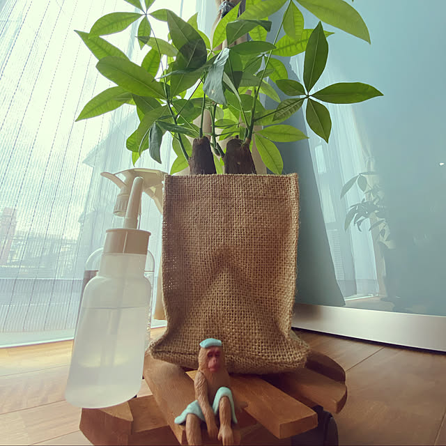 mさんの実例写真