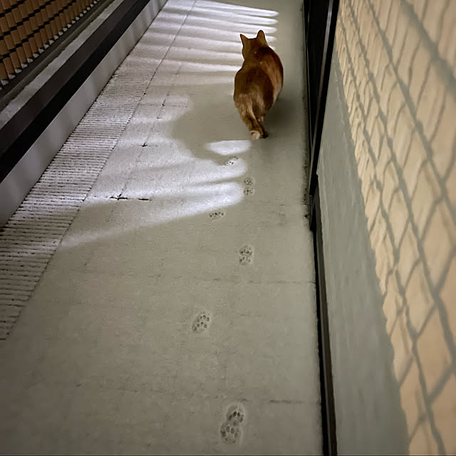 kikiさんの実例写真