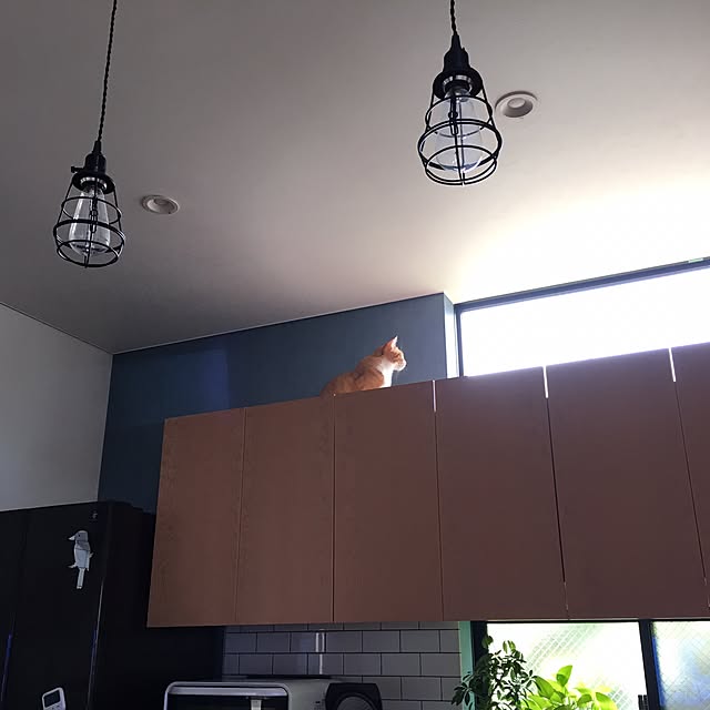 youtoさんの実例写真