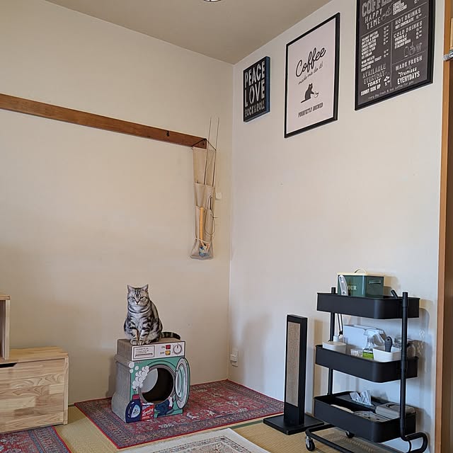lovepeaceさんの部屋