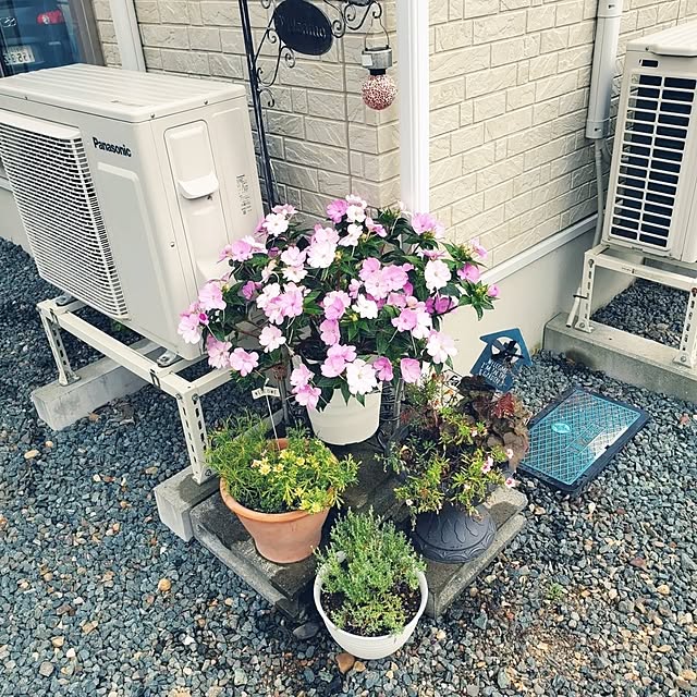 icchiさんの部屋