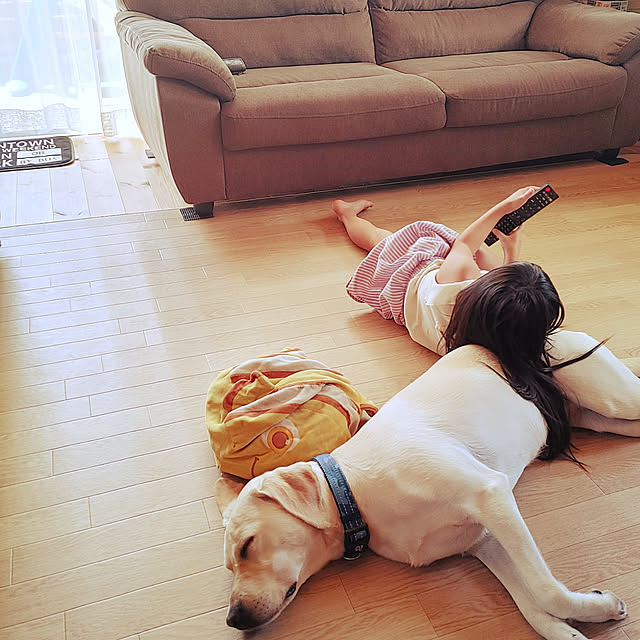 sakiponさんの実例写真