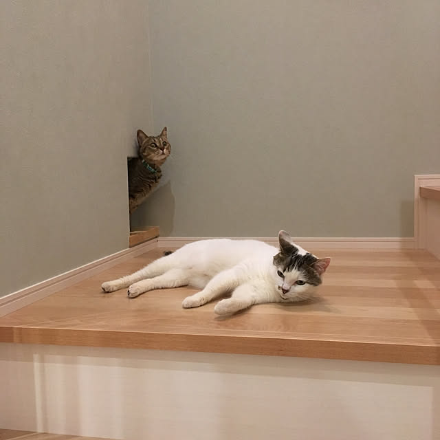 nyancohomeさんの実例写真