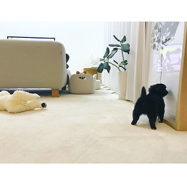 haruhinaさんの実例写真