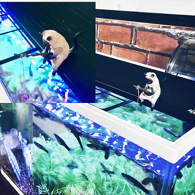 maroさんの実例写真