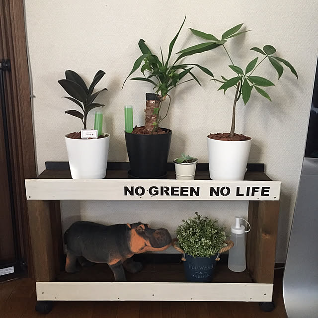 harukaさんの実例写真