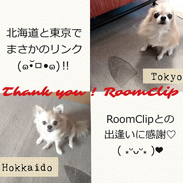 Emafuさんの実例写真