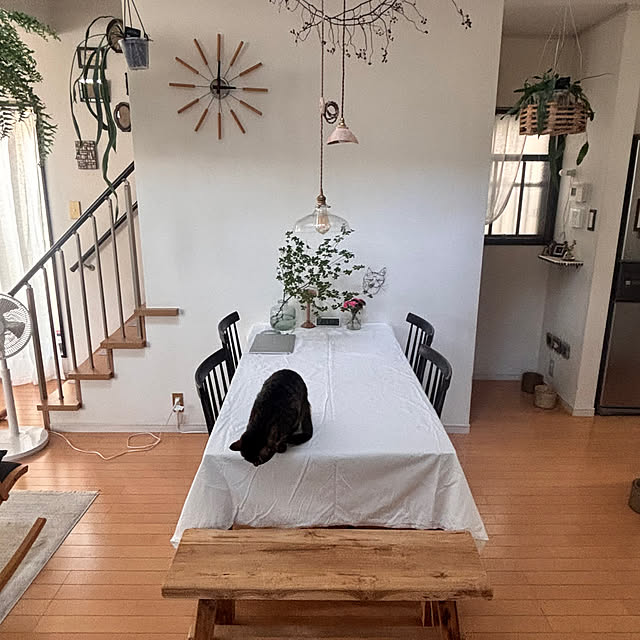 greycatsさんの部屋