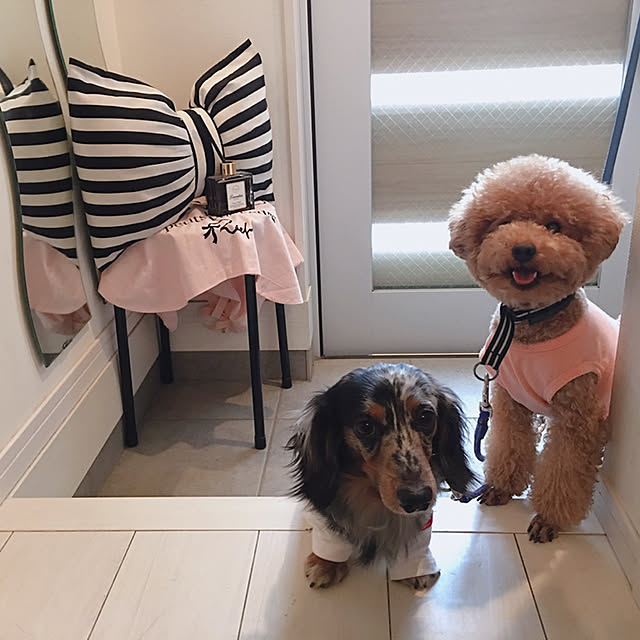 mogucocoさんの実例写真