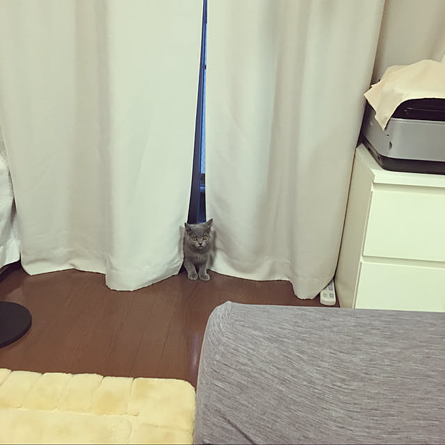 kittyさんの実例写真