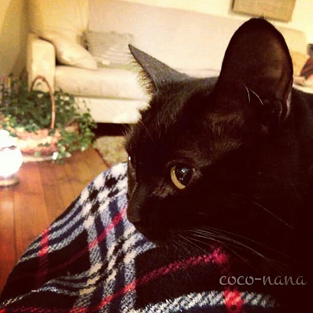 coconana165さんの実例写真