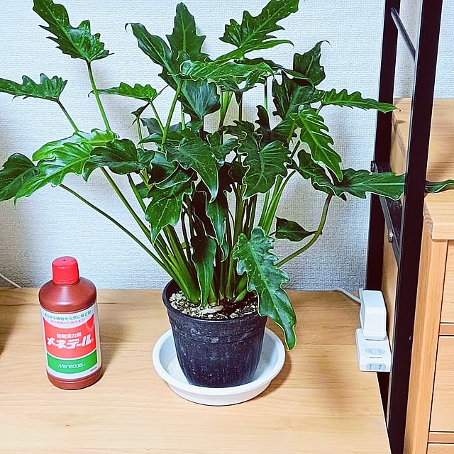 hanachanさんの部屋